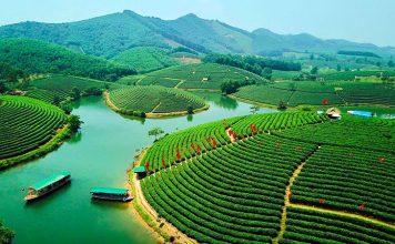doi che thanh chuong