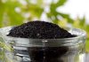 phan bon humic la gi