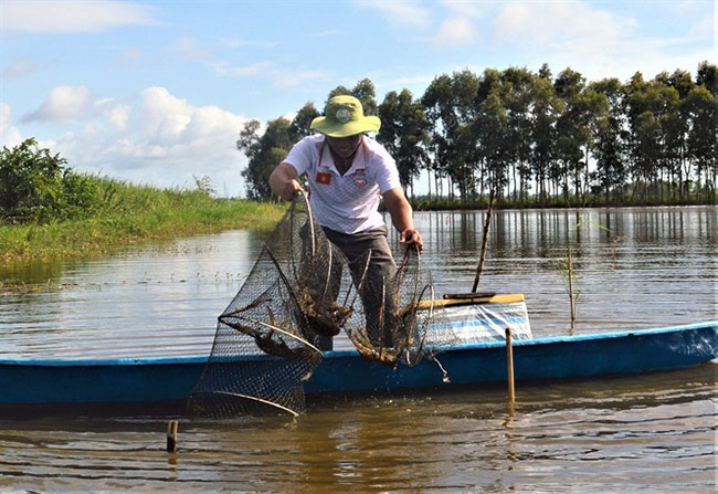 nuoi tom quang canh