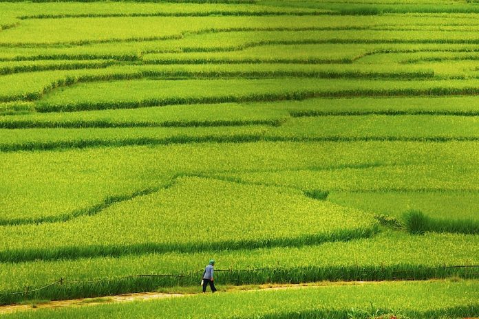 quang canh la gi