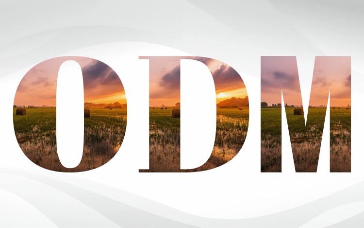 odm la gi